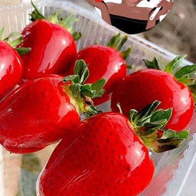 Candied Covered Strawberries(12)