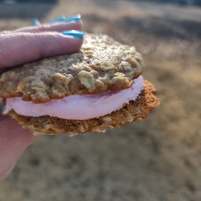 Strawberry Oatmeal Cream Pies 
