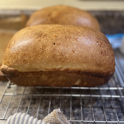 Sandwich Sourdough