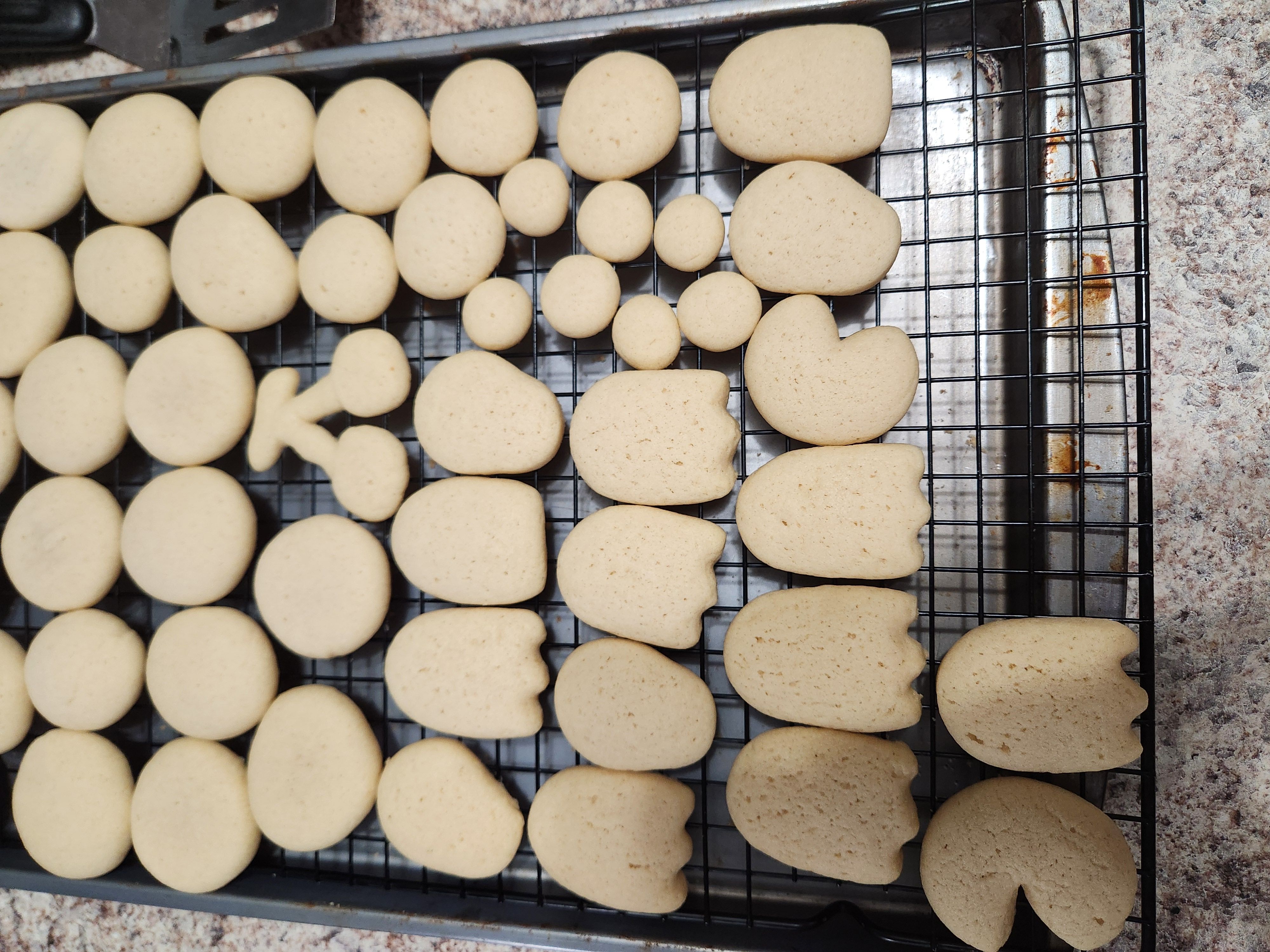 Plain Sugar Cookies
