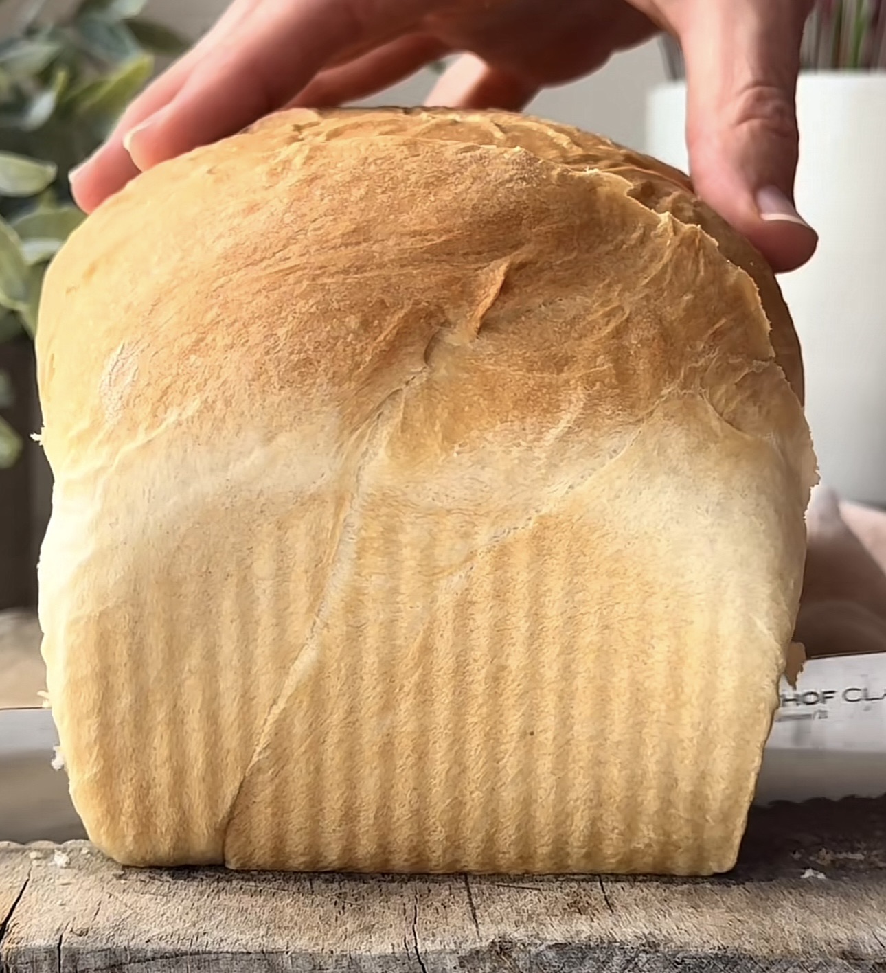 Sandwich Bread Loaf (2)