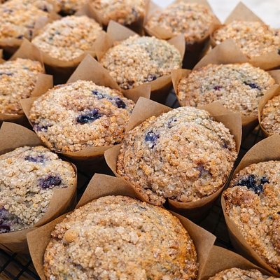 🫐Blueberry Sourdough Muffins (6 Pack)