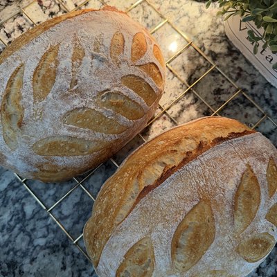 Classic Sourdough Loaf 