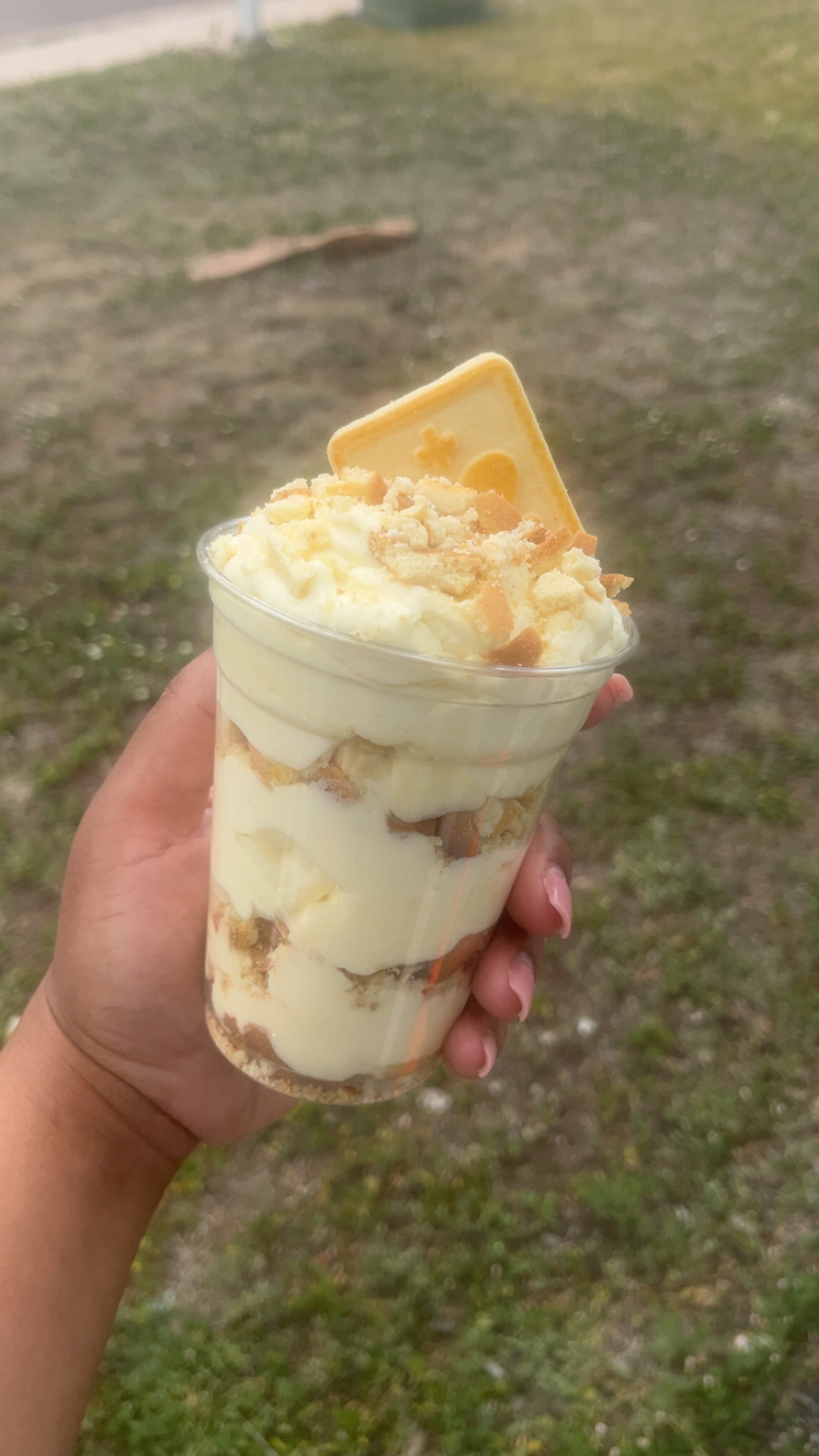Banana Pudding Cup