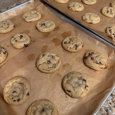 1 Dozen Sourdough Chocolate Chip Cookies 