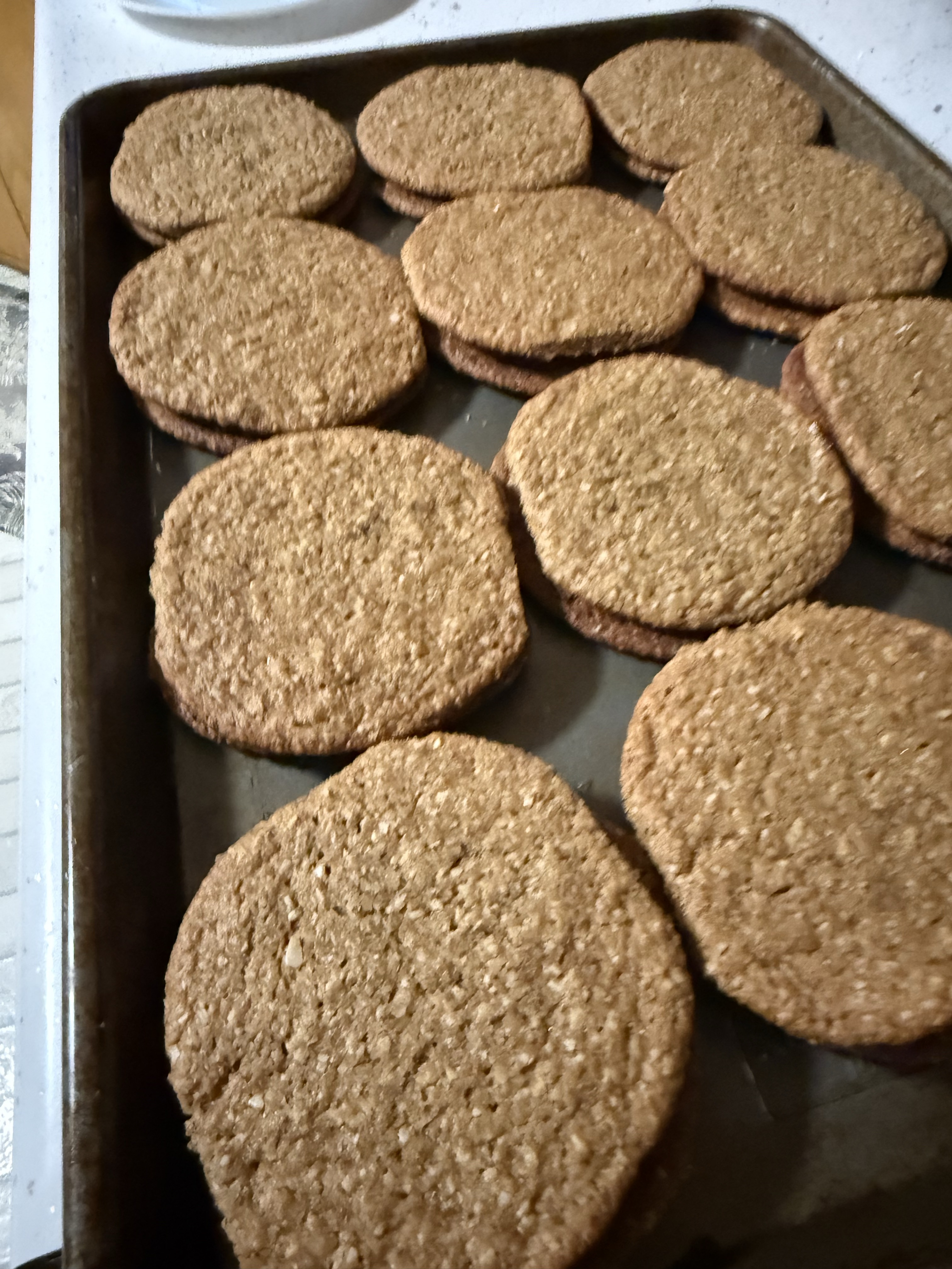 Oatmeal Cream Sandwich Cookie-Dozen