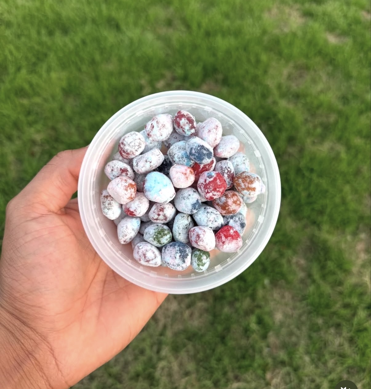 Sour Gushers 