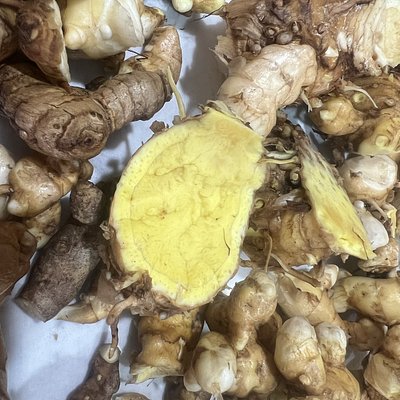 Turmeric - Mango (white) 30g