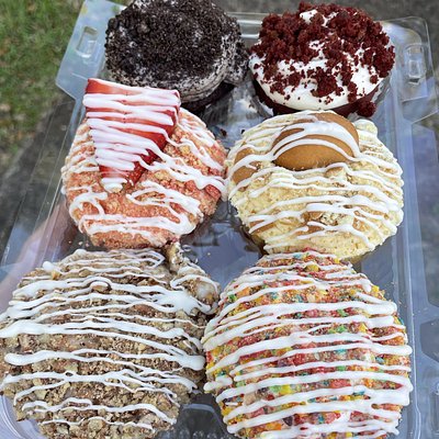 6 ct cupcakes 