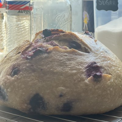 Blueberry Lemon Sourdough Loaf