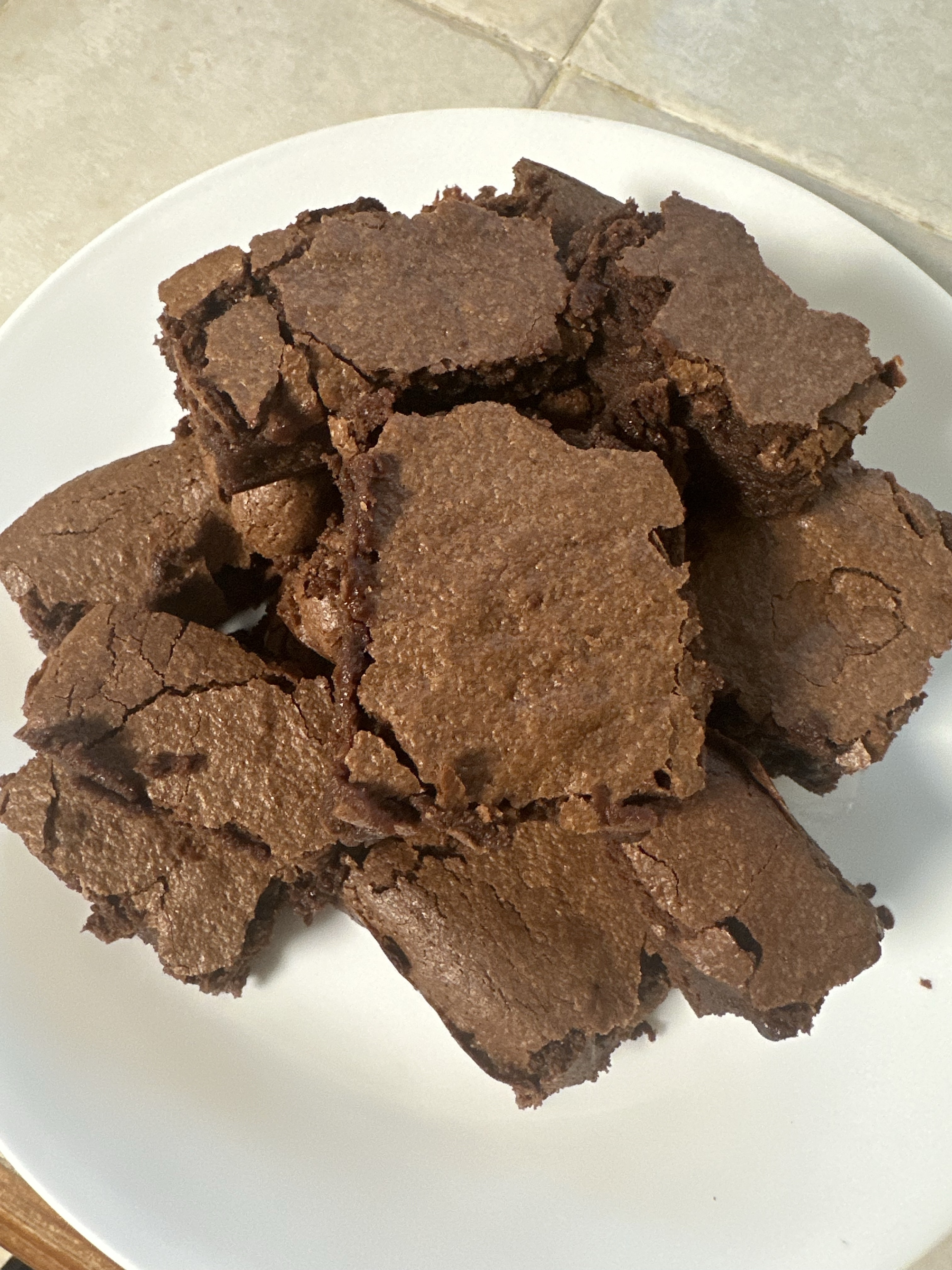 Fudgy Sourdough Delights
