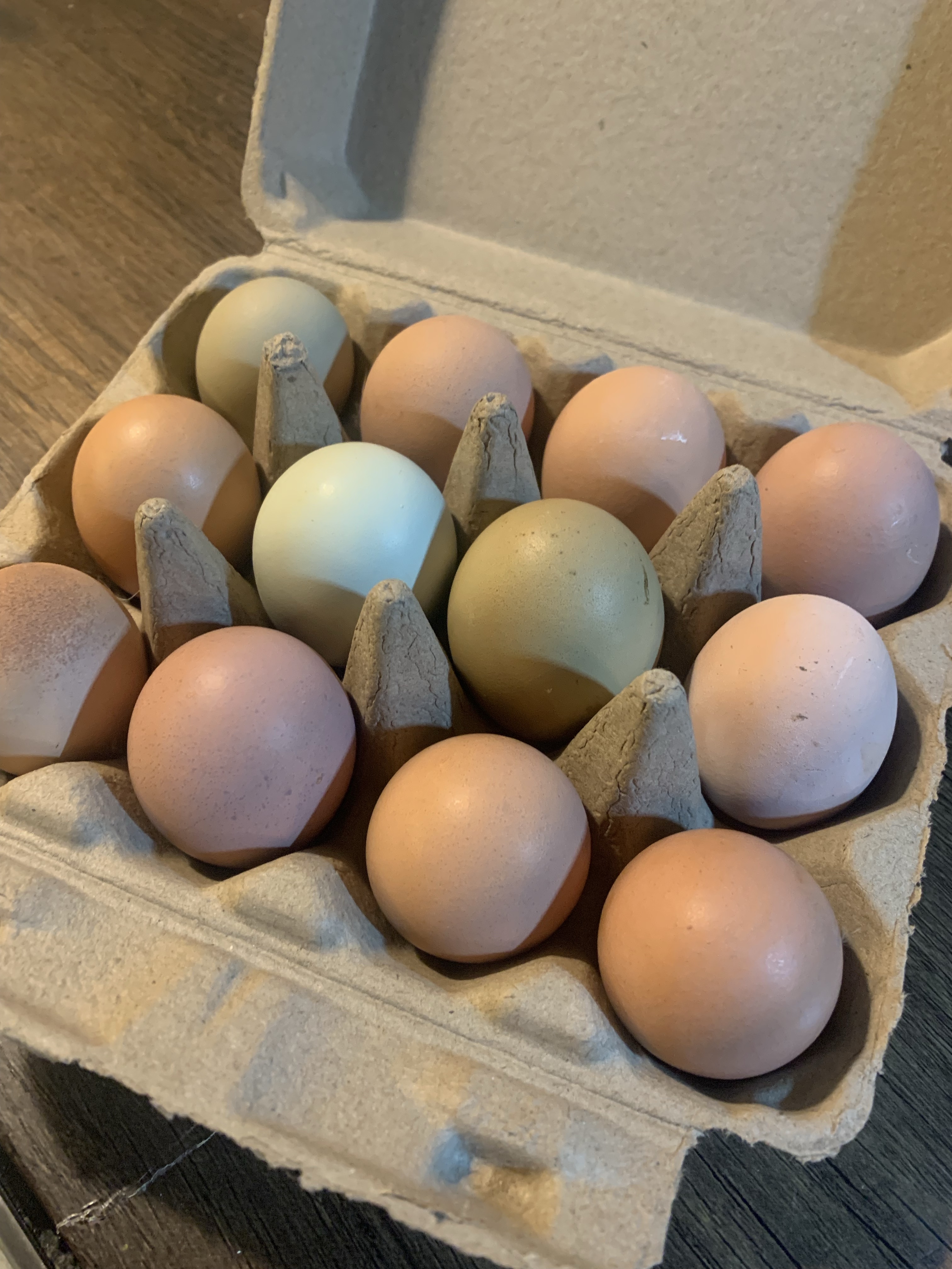 Chicken eggs 1 dozen washed / or unwashed 