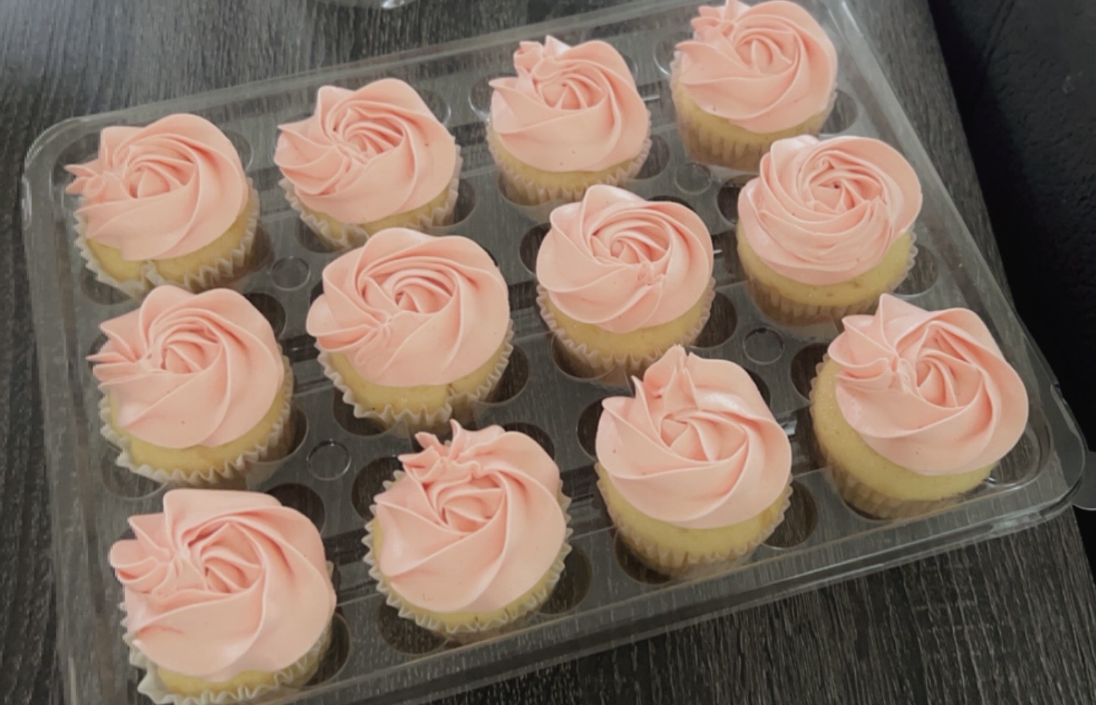 Cupcakes No Design 