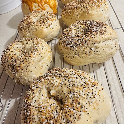 Fresh Bakes Bagels