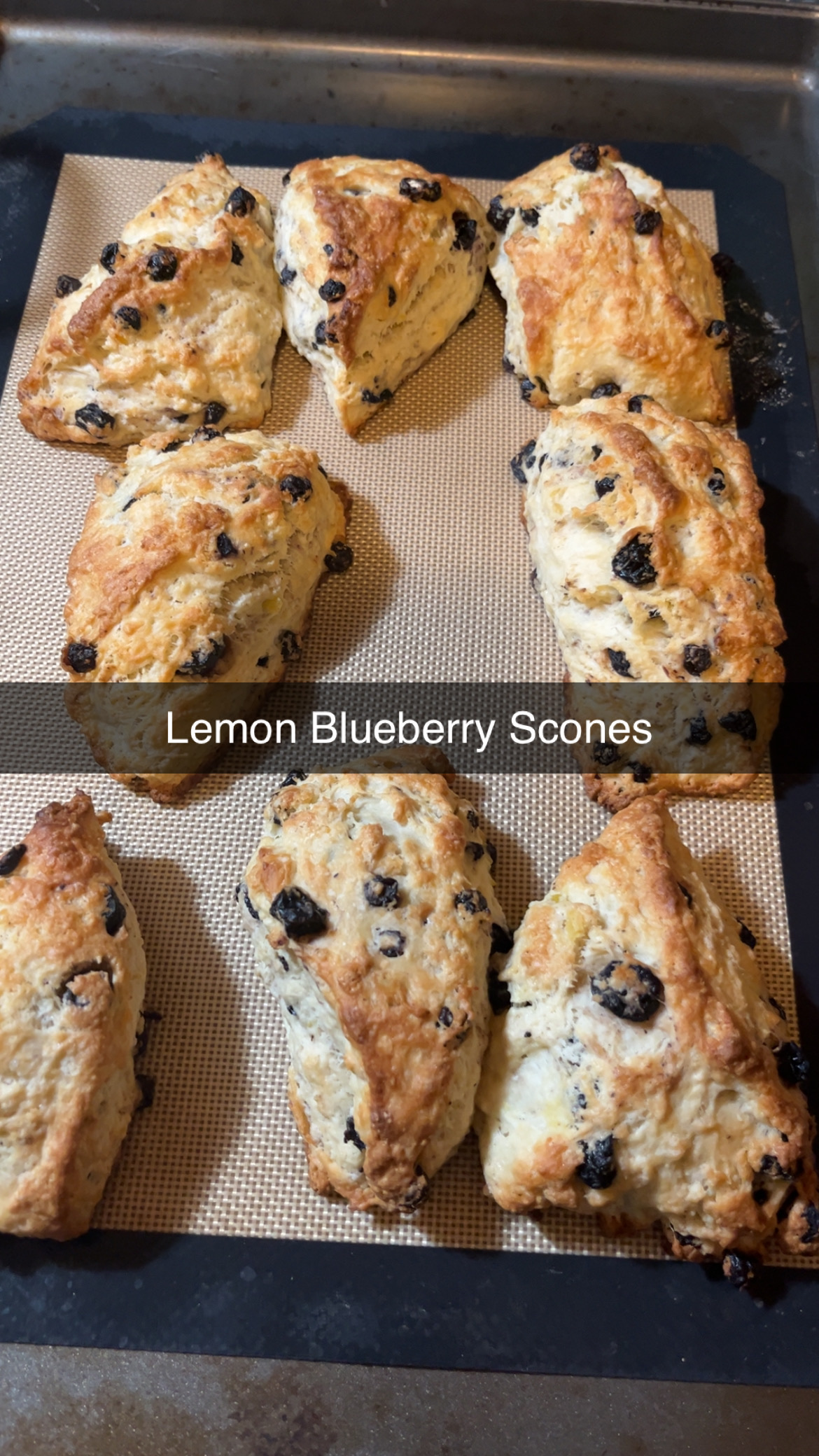 Lemon Blueberry Sourdough Scone 4 Count