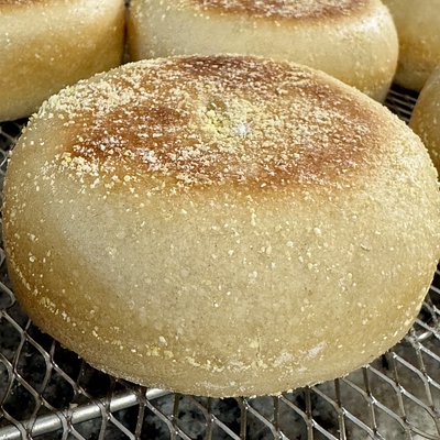 Sourdough English Muffins