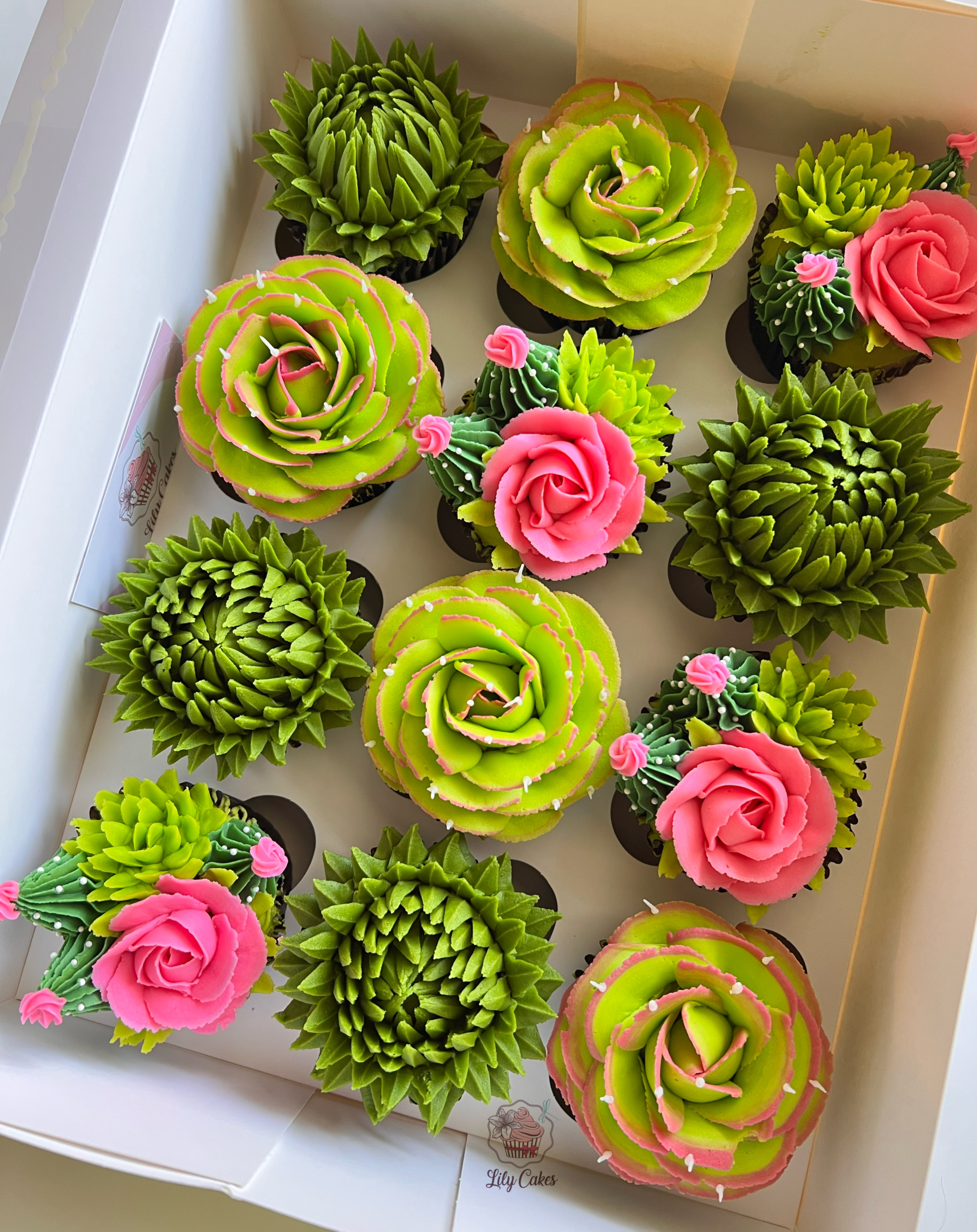 Succulents Cupcakes🪴