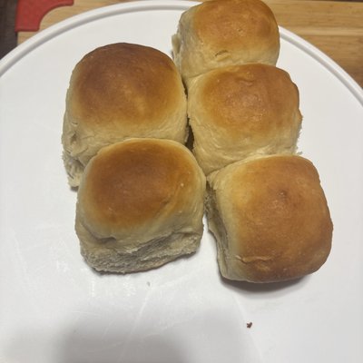 Dinner Rolls