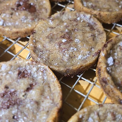 Bold Bite Choco Chip