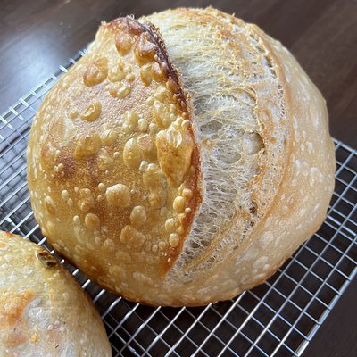 Plain Sourdough Loaf