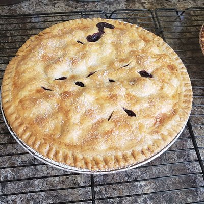 Saskatoon Pie