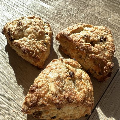 Orange Currant Almond Scone ~ Vegan