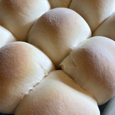 Dinner Rolls