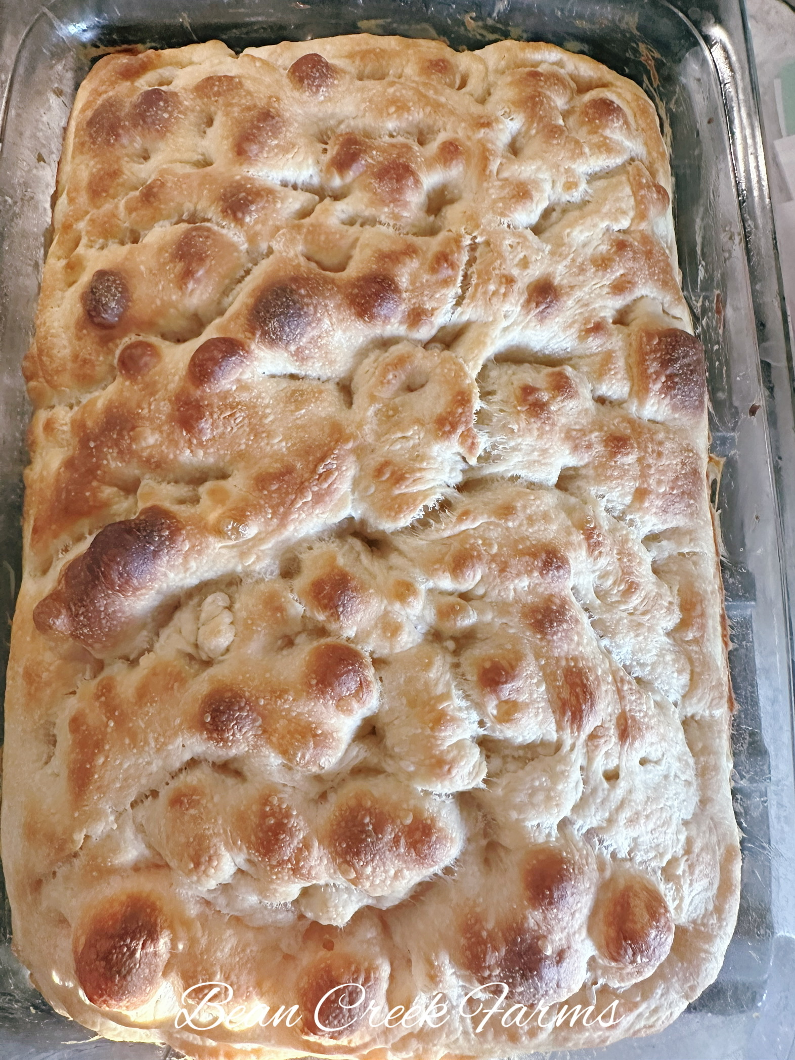 Classic Focaccia