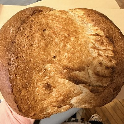 Sourdough Honey Wheat