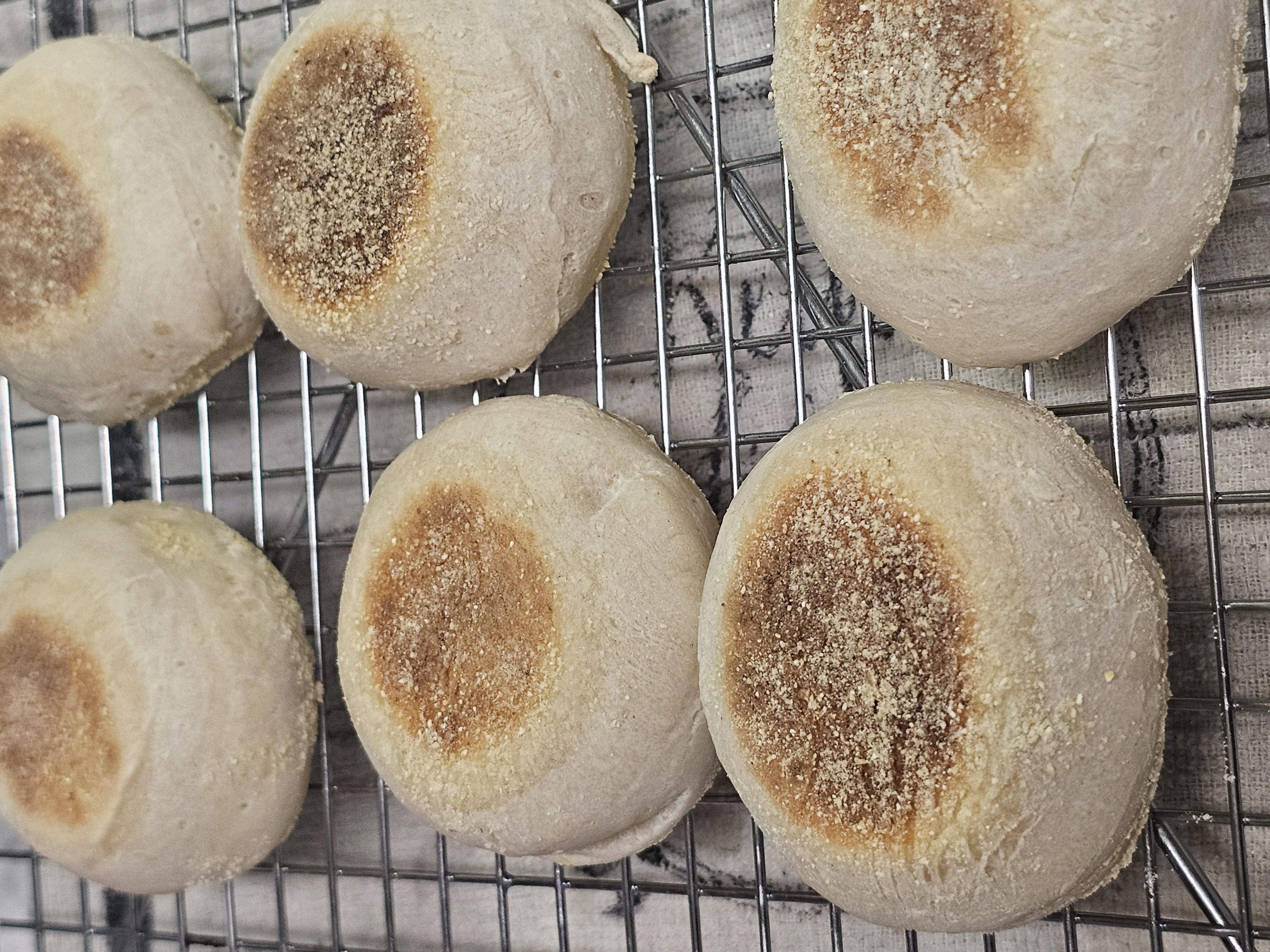 Sourdough English Muffins 6 Count