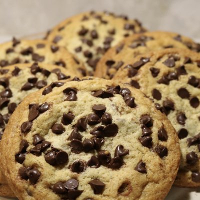 Chocolate Chip 