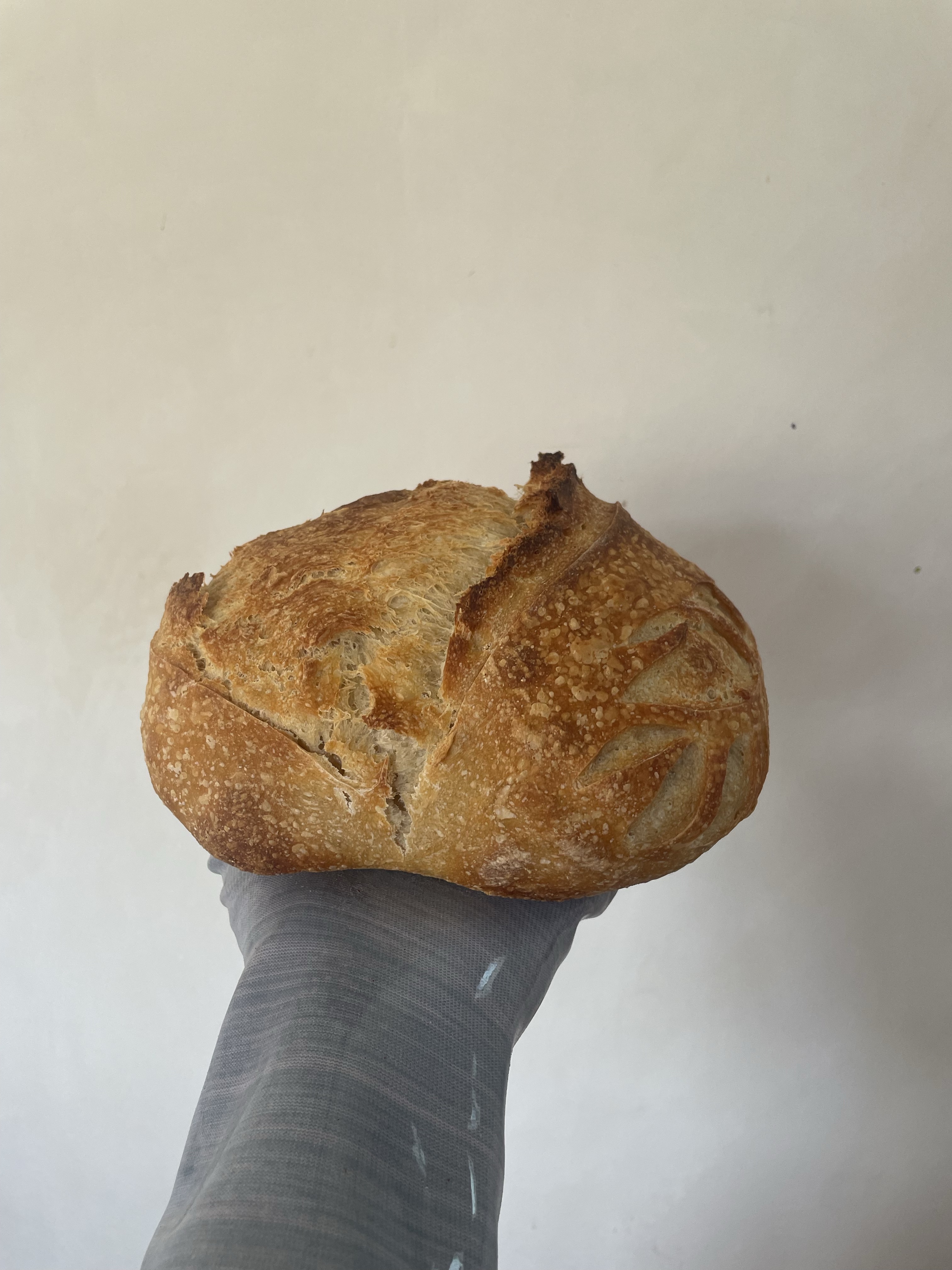 Classic Sourdough loaves 