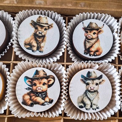 Custom Image Regular Cake Puck