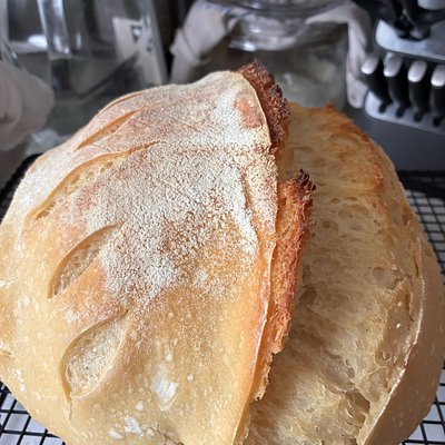 Plain Sourdough 