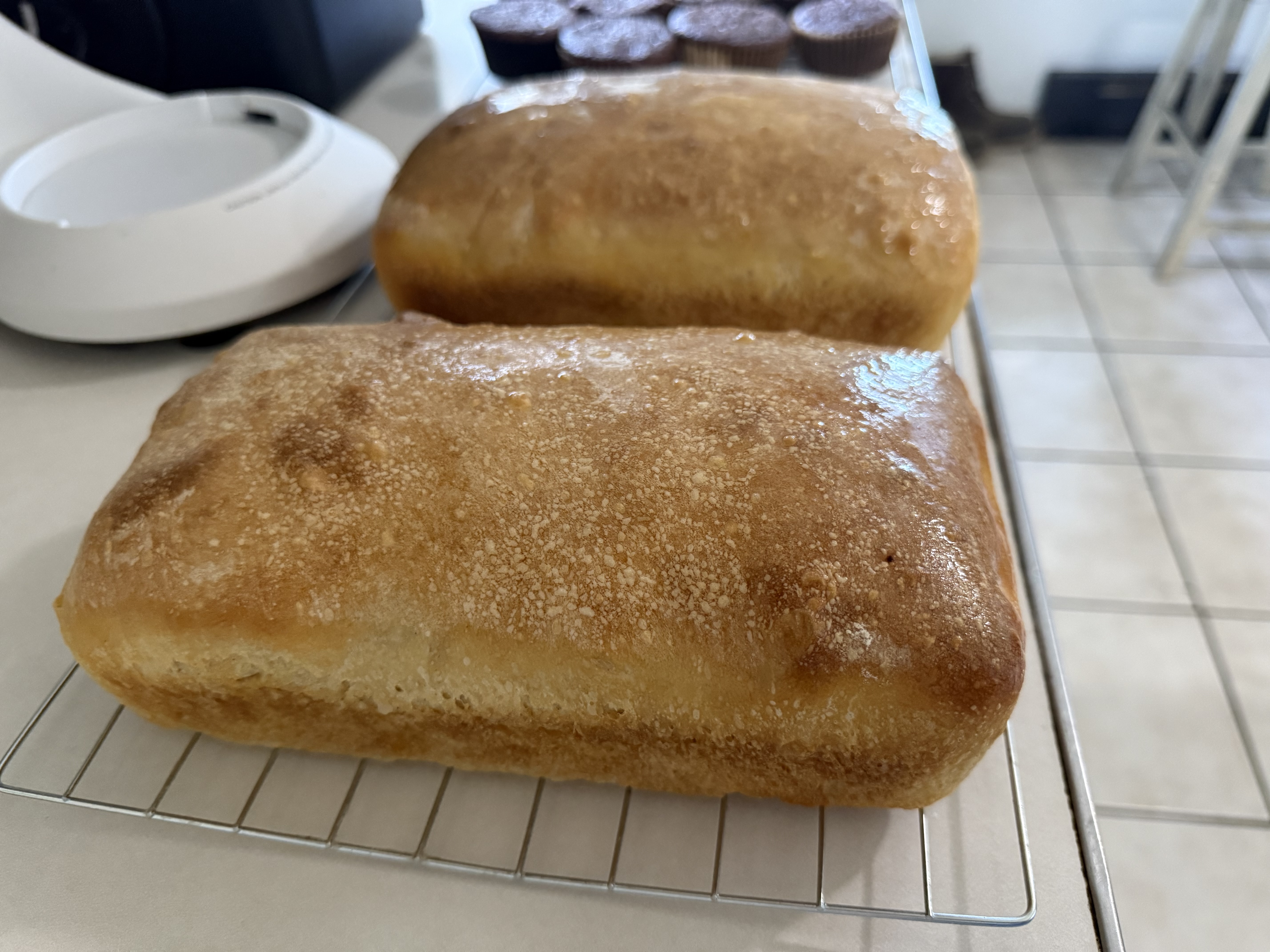 Plain Sourdough Loaf 