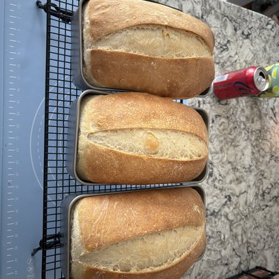 Honey Sourdough Sandwich Loaf