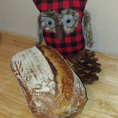 O.A.B.B House Recipe Sourdough Loaf