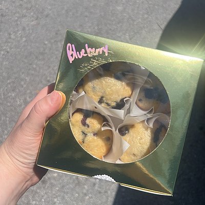 Blueberry Muffins