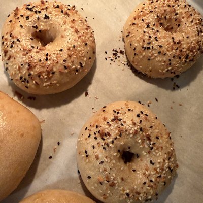 Everything Bagels- 4pk