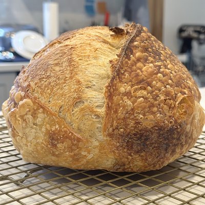 Classic Sourdough Loaf 100% Organic Ingredients 