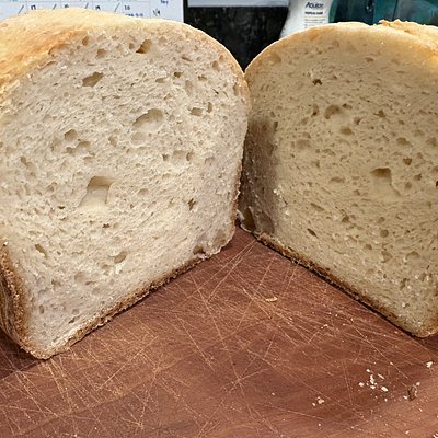 Gluten Free Sourdough Loaf