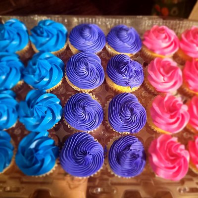 Basic Cupcakes 