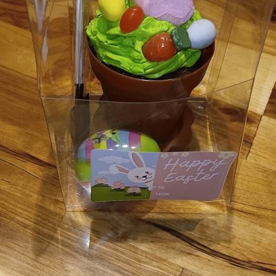 Easter Cupcake In Cute Planter With Shovel N Edible Bunny