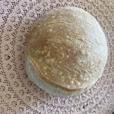 Sourdough Artisan Loaf