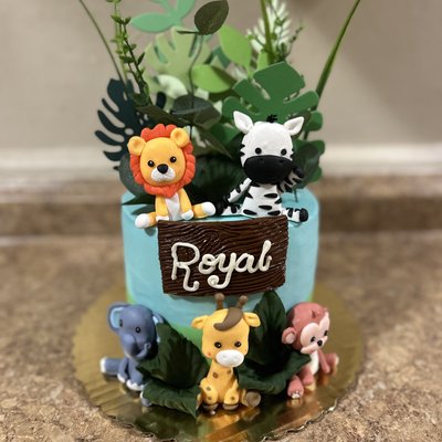 Kids Cakes 8”