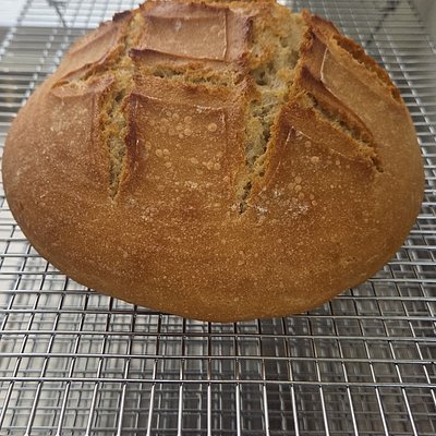 100% Einkorn Sourdough 