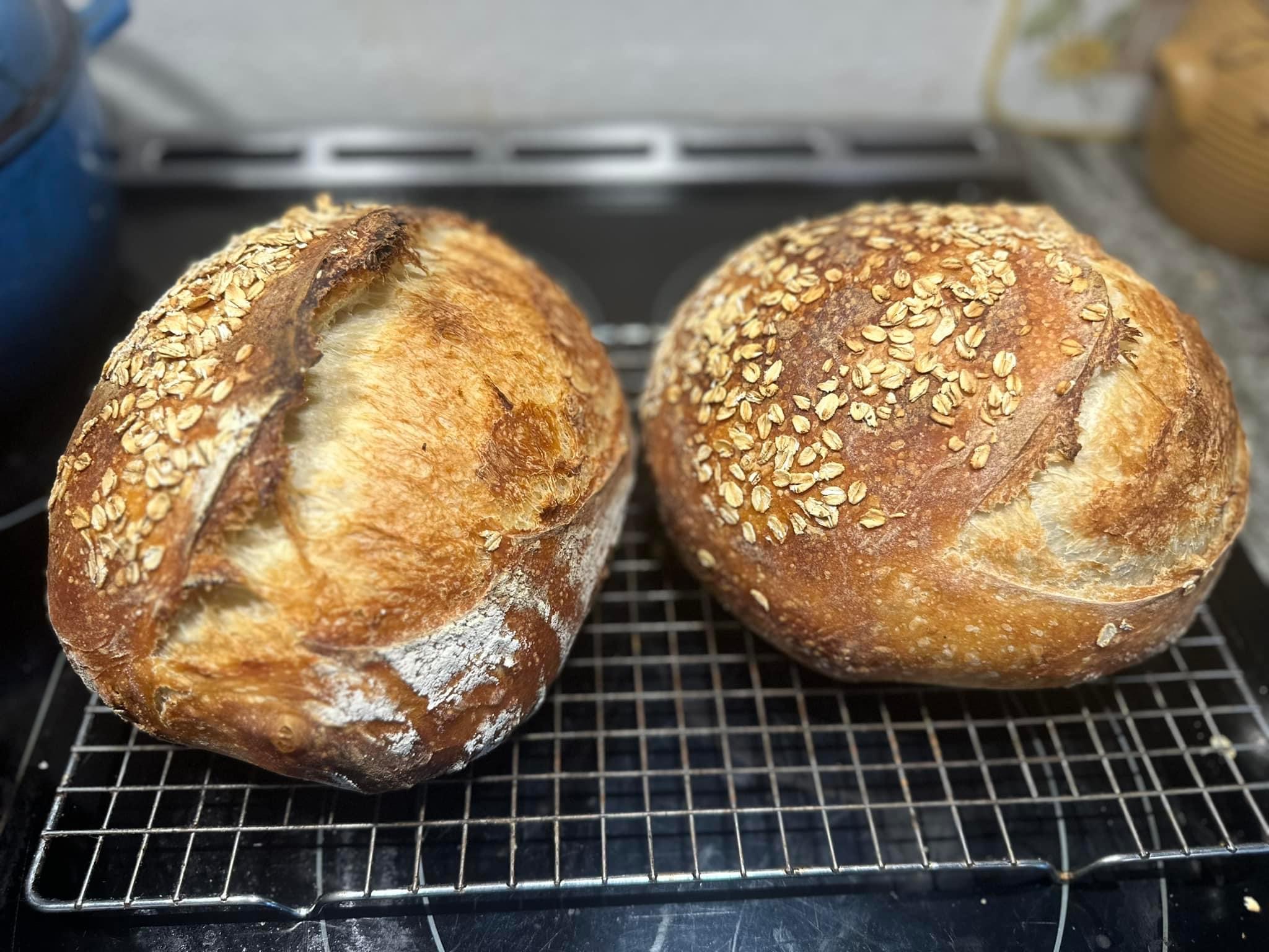 Honey Oat Boule