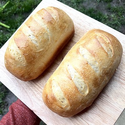 Sourdough Sandwich Bread