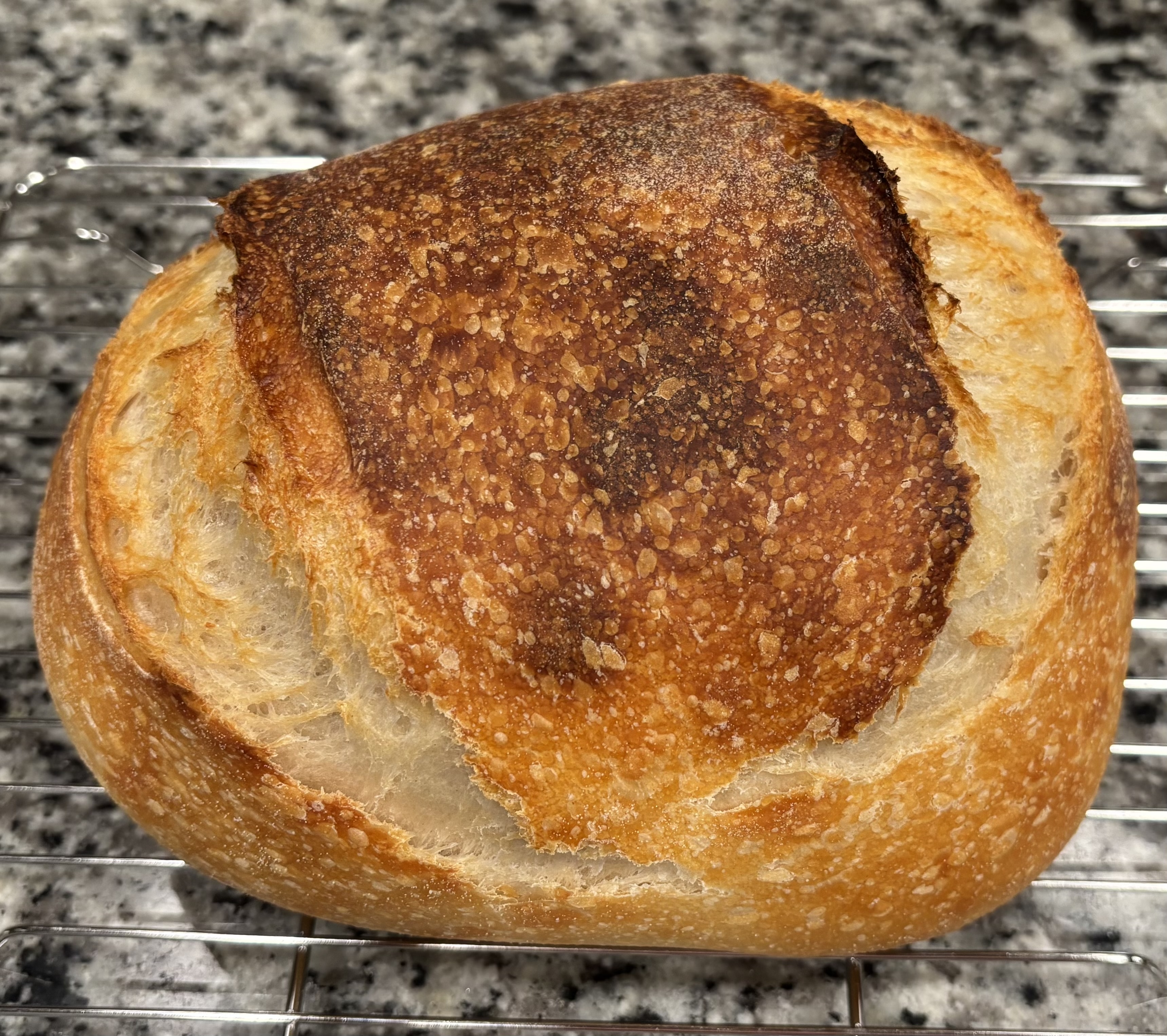 Sourdough Loaf 