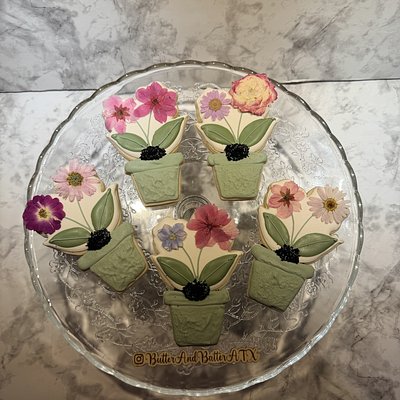 Edible Flower Pot Sugar Cookies 